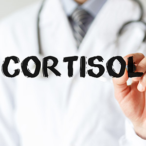 Cortisol Sortiment