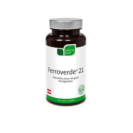 nicapur_ferroverde-21