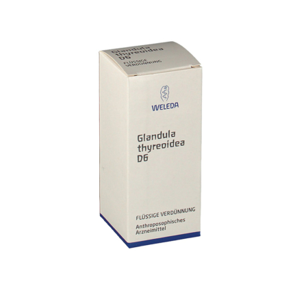 glandula-thyreoidea-d-6-dilution